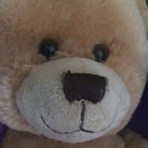 Meet your Posher, Leila